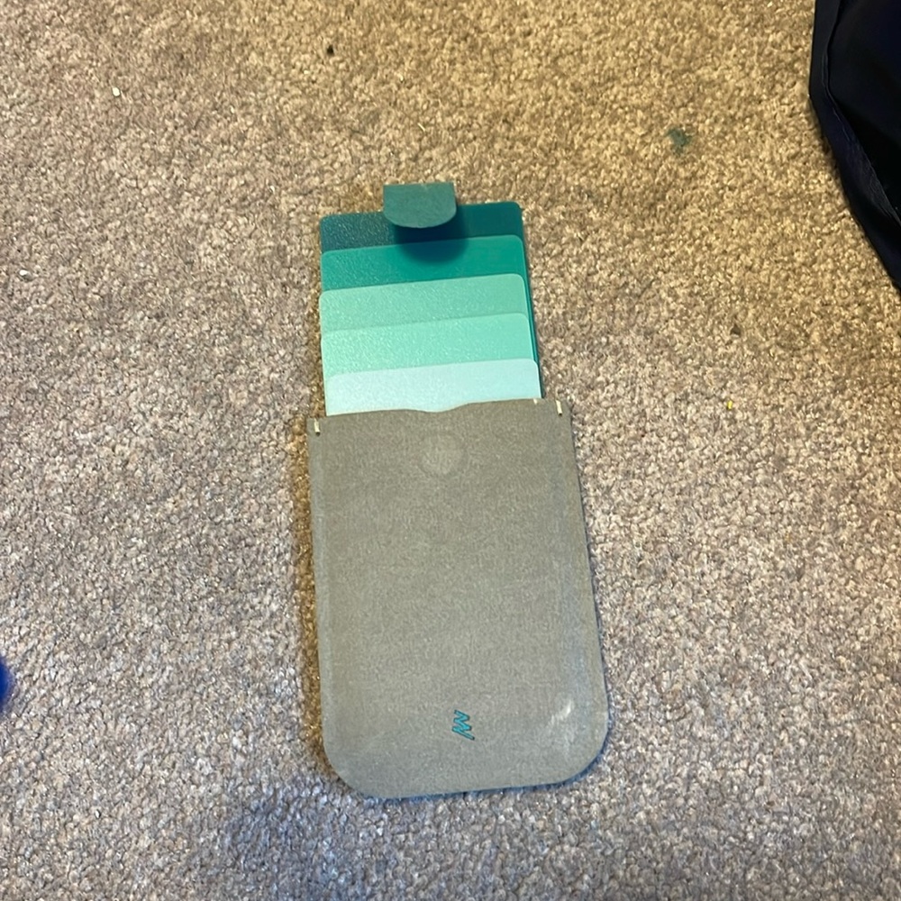Pull up Card case in green